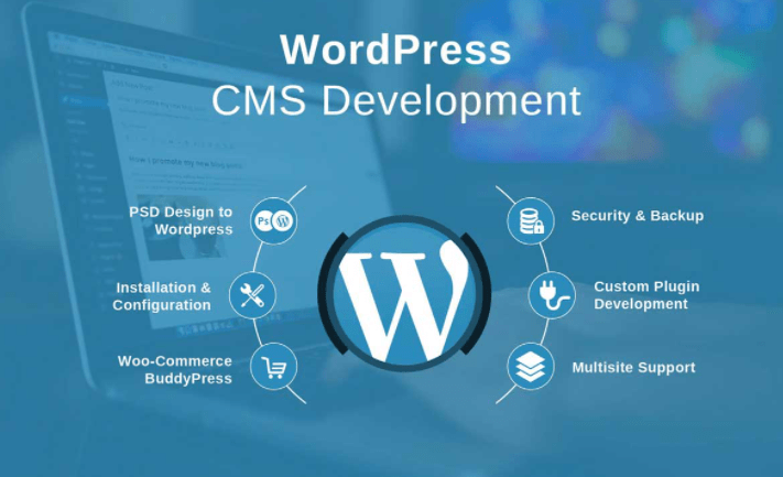 Web Development WordPress Tools, You Need in 2020-2021