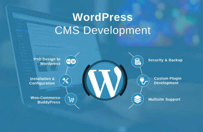 Web Development WordPress Tools, You Need in 2020-2021